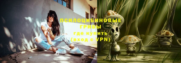 мяу мяу мука Беломорск