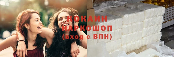 спиды Богородицк