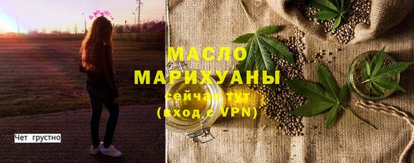 спиды Богородицк