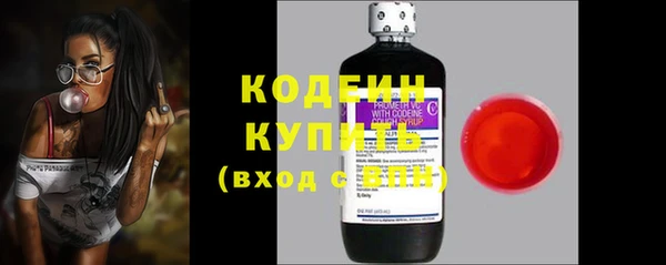 спиды Богородицк