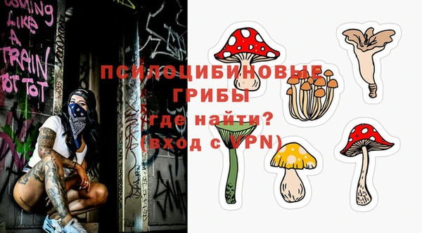 a pvp Богданович