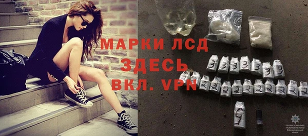 спиды Богородицк