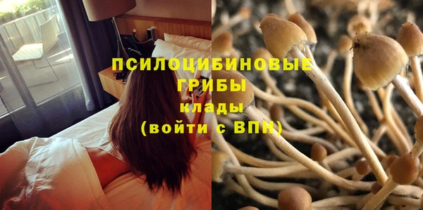 спиды Богородицк