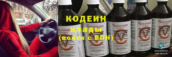 спиды Богородицк