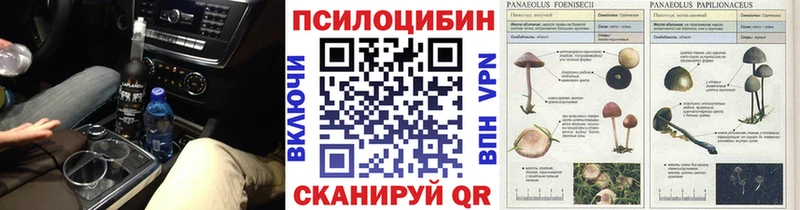 Галлюциногенные грибы мицелий мега ONION Кстово
